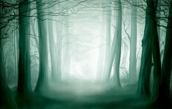 Forest, light, thicket
