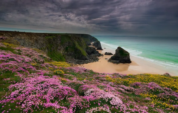 Sand, sea, wave, field, beach, flowers, clouds, stones