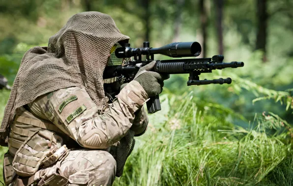 Picture forest, soldier, assault rifle, telescopic sight, shooting position
