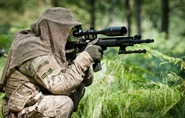 Wallpaper forest, soldier, assault rifle, telescopic sight, shooting ...