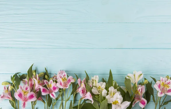 Picture flowers, colorful, wood, pink, flowers, beautiful, spring, lily