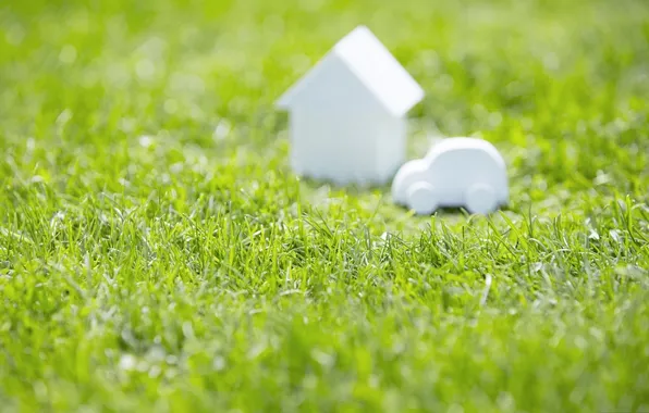 Picture greens, grass, macro, house, photo, background, Wallpaper, machine