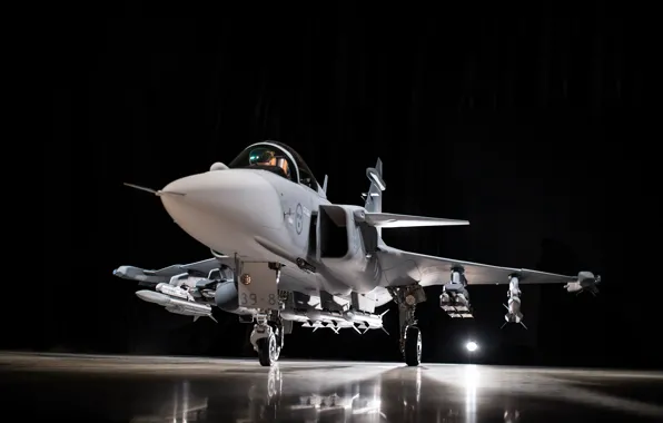 Gripen, next generation, JAS 39, Gripen NG, You CAN, JAS 39 Gripen