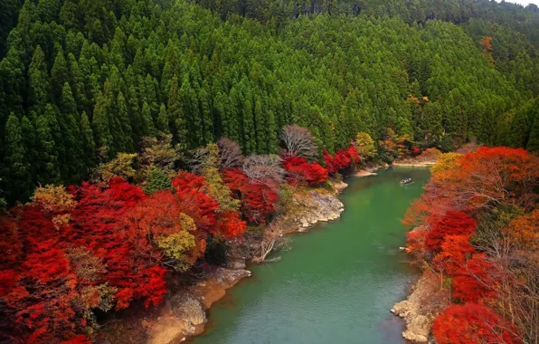 Picture river, nature, autumn