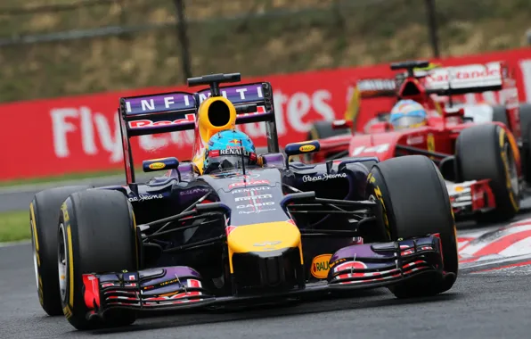 Racer, Formula 1, Red Bull, Vettel, Champion, Sebastian, RB10