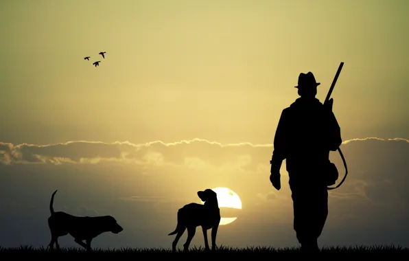 Picture dogs, the sky, sunset, nature, two, duck, plain, silhouette