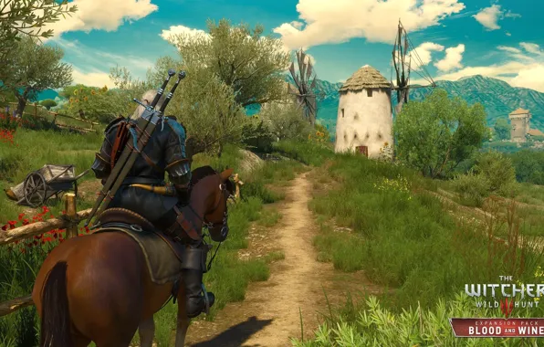 The sky, grass, horse, the Witcher, Geralt, The Witcher 3: Wild Hunt, Supplement, Blood and …