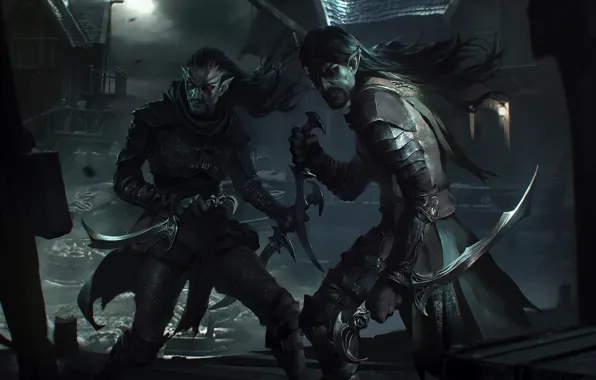 Picture weapons, The Elder Scrolls Legends, the game, night, elf