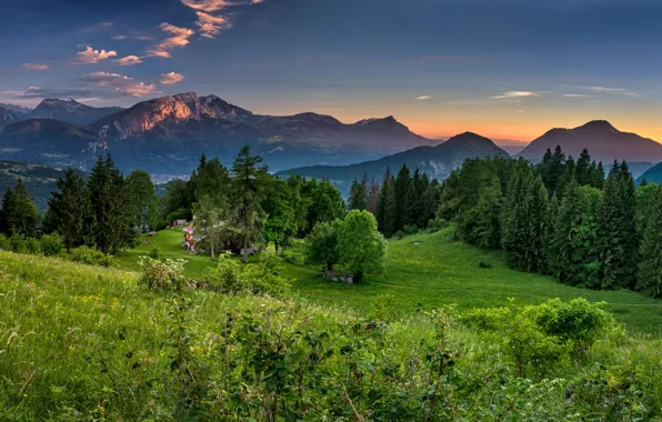 Greens, forest, summer, grass, trees, sunset, mountains, France