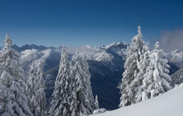 Picture winter, clouds, trees, landscape, mountains, nature, Austria, ate