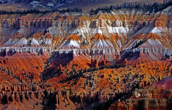 Picture trees, landscape, mountains, Utah, USA, Cedar Breaks National Monument