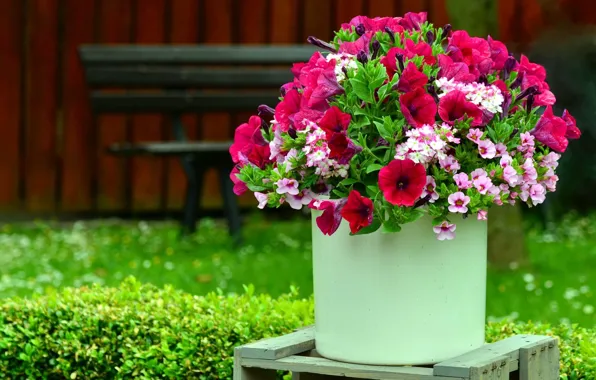 Greens, flowers, background, bouquet, bright