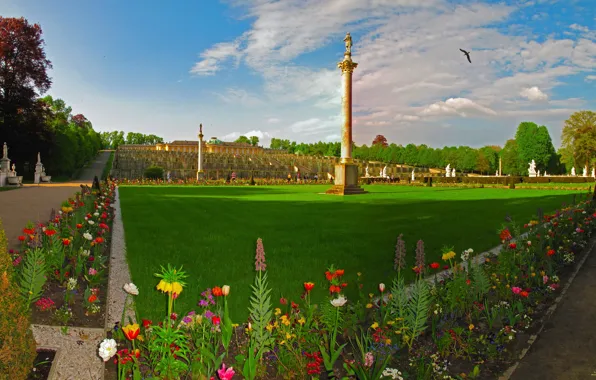 Grass, flowers, design, the city, photo, lawn, landscape, Germany