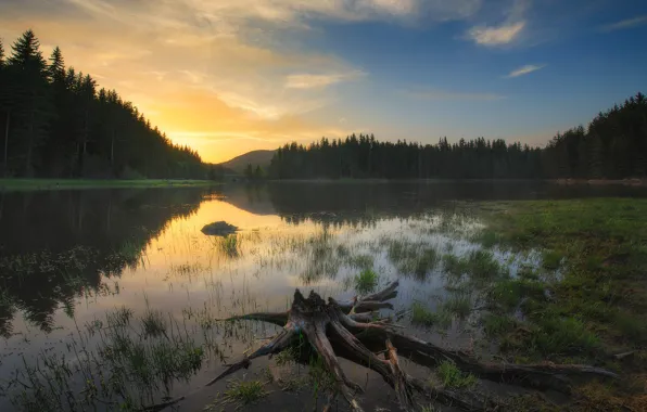 Forest, the sky, sunset, nature, river, Bulgaria, Materov.