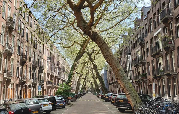Amsterdam, Netherlands, Maxim Berg