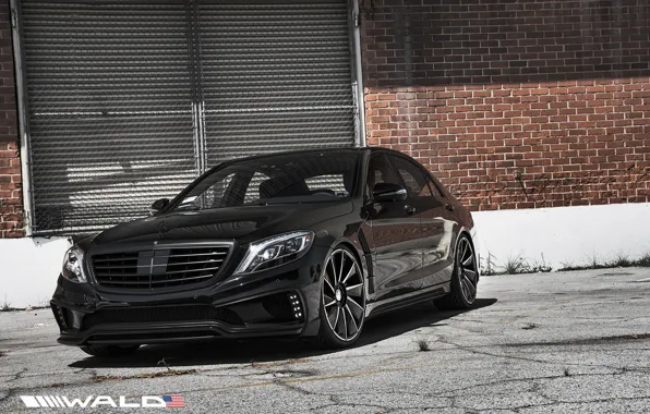 TUNING, WALD, MERCEDES, BENZ, BLACK BISON, W222, S-CLASS