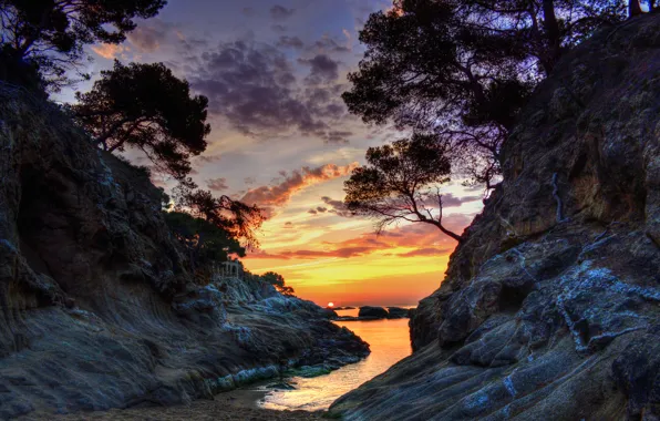 Picture sea, the sky, the sun, trees, sunset, rocks
