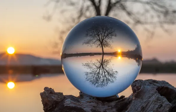 Picture the sky, reflection, trees, landscape, sunset, nature, lake, mirror