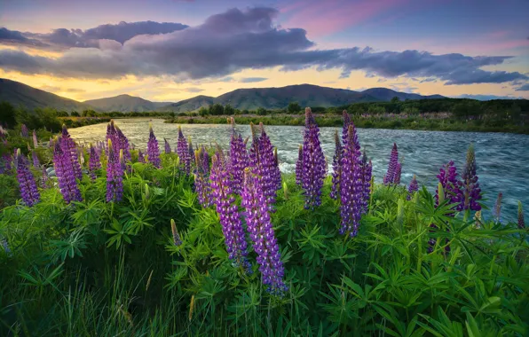 Summer, clouds, flowers, mountains, river, shore, for, view