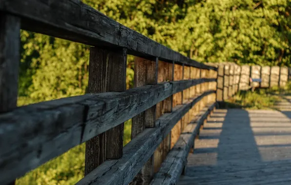 The fence, the garden, wooden