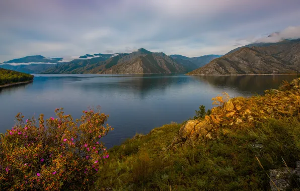Mountains, Russia, reservoir, Krasnoyarsk Krai, Western Sayan, Sayano-Shushenskiy reserve, Alexander Makeev, The Sayano-Shushenskoye reservoir