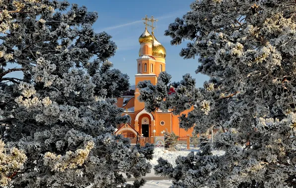 Picture winter, snow, trees, spruce, Church, Cathedral, the dome, pine