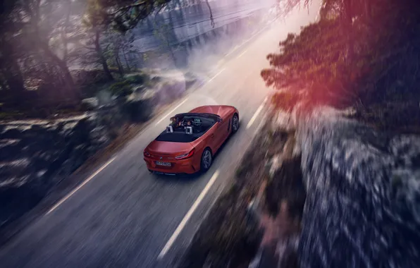 Road, red, movement, rocks, speed, BMW, Roadster, BMW Z4