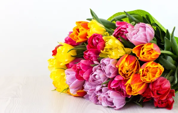Bouquet, colorful, tulips, flowers, tulips