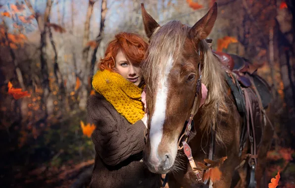Autumn, forest, look, girl, light, trees, Park, horse