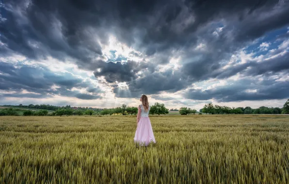 Picture field, the sky, girl