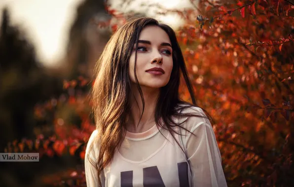The sun, trees, model, portrait, makeup, hairstyle, brown hair, beauty