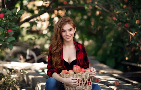 Look, the sun, trees, sexy, pose, basket, model, apples