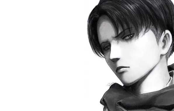 Look, art, white background, guy, Attack Of The Titans, Shingeki No Kyojin, Levi Ackerman, Levi