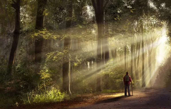 Picture road, forest, art, male, traveler