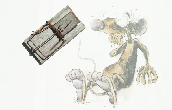 Fear, mouse, mousetrap