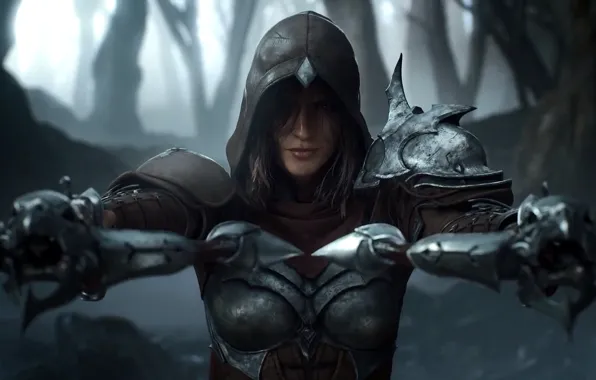 Hood, Armor, Demon hunter, The demon hunter, Diablo Immortal, Armor, Crossbows