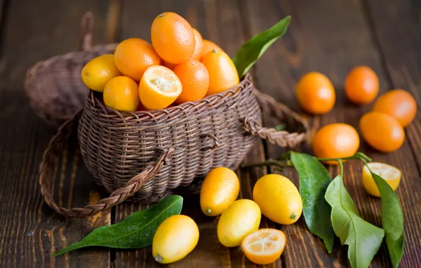 Leaves, fruit, orange, basket, citrus, Anna Verdina, kumquat