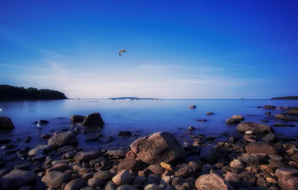 Picture the sky, nature, stones, seagulls, the evening, Canada, Ontario, Awenda Provincial Park