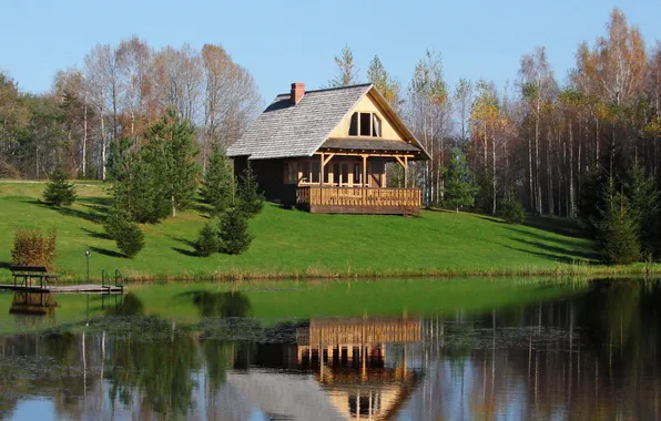 Picture forest, the sky, grass, trees, landscape, nature, lake, house