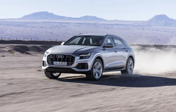 Picture quattro, 2018, crossover, 50 TDI, Audi Q8