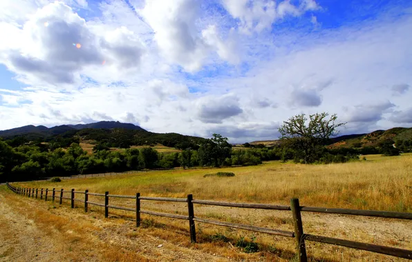 Picture field, summer, landscape, the fence