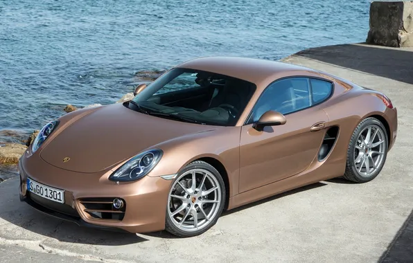 Porsche, Cayman, Porsche, 2013, Caiman