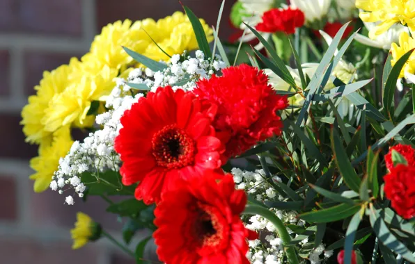 Picture leaves, nature, bouquet, petals