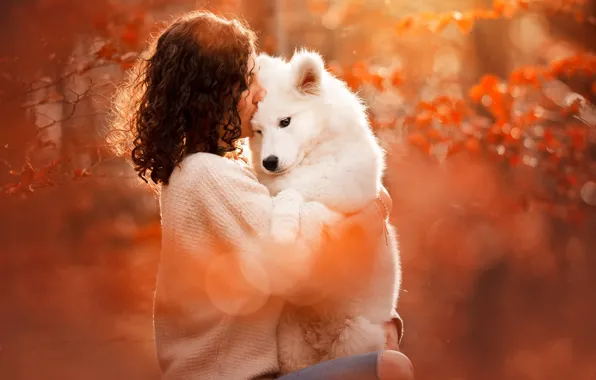 Autumn, girl, love, mood, dog, friendship, friends, Samoyed