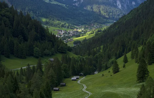 Road, forest, summer, light, mountains, hills, the slopes, view
