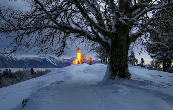 Picture winter, snow, landscape, mountains, nature, tree, backlight, Church