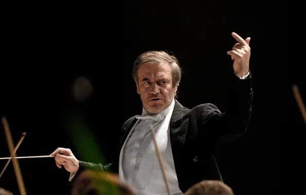 Picture conductor, The Mariinsky theatre, Valery Gergiev, Valery Gergiev