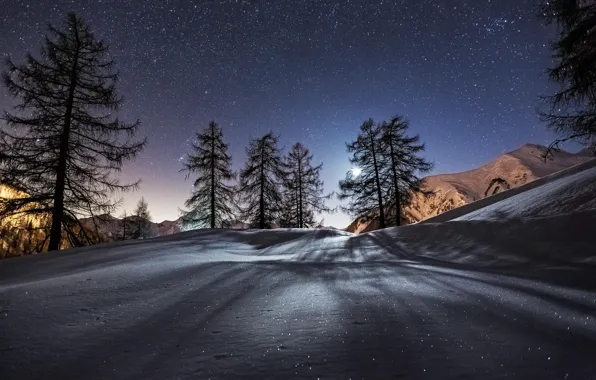Winter, stars, snow, trees, mountains, night