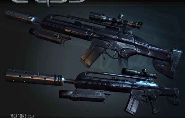 Picture weapons, crisis, machine, sniper, rifle, crysis