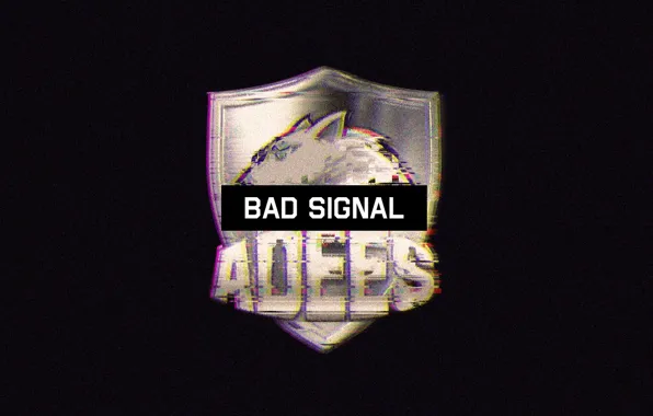 Team, team, csgo, eSports, csgo, adees, Edis